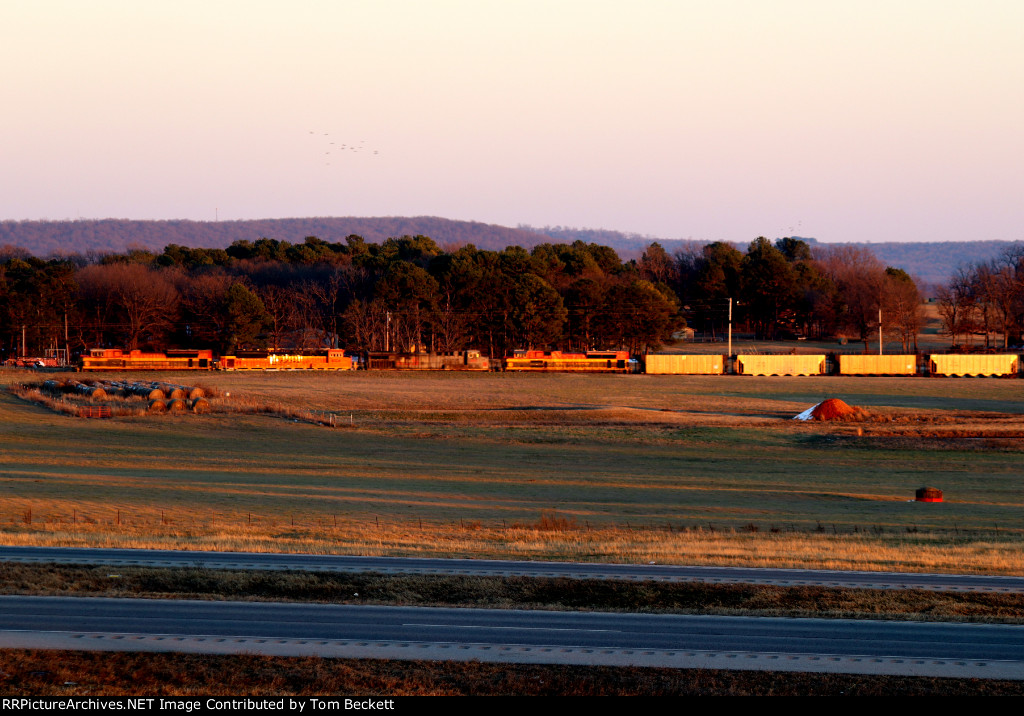 More pastoral panorama